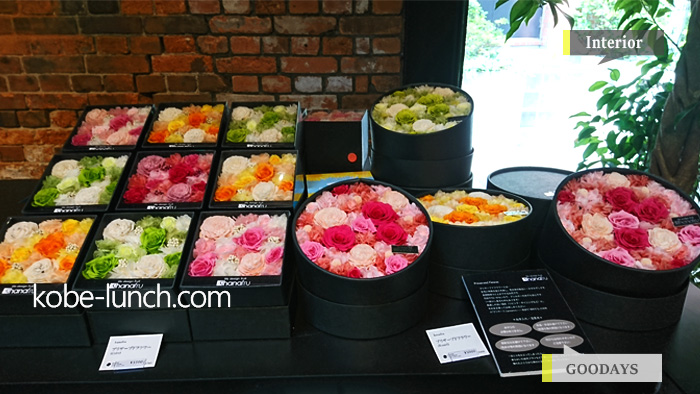 goodaysdepartment ハーバーランド