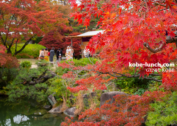 実際に行った 深紅の世界 神戸でおすすめの紅葉人気スポット 兵庫県の秋散歩 神戸ランチドットコム