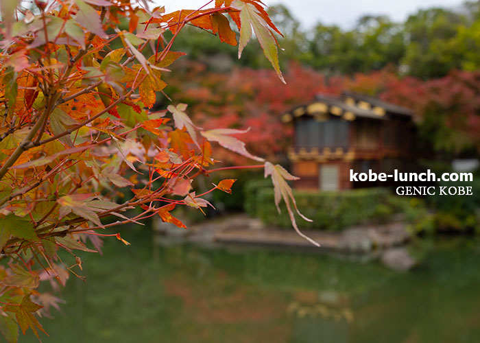 神戸相楽園 紅葉