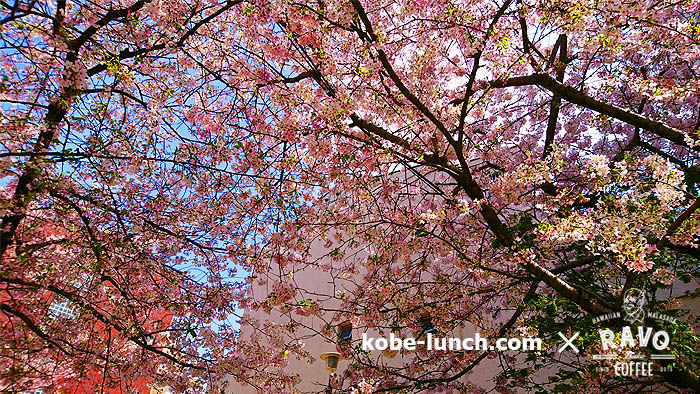 ラボベイクコーヒー