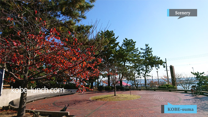 神戸　須磨浦公園　紅葉