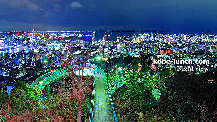 神戸ビーナスブリッジの夜景