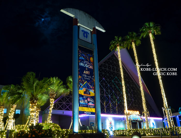 スマスイライトアップ