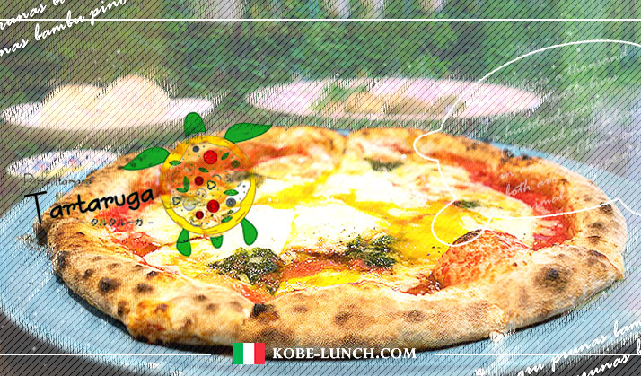 tartaruga 神戸