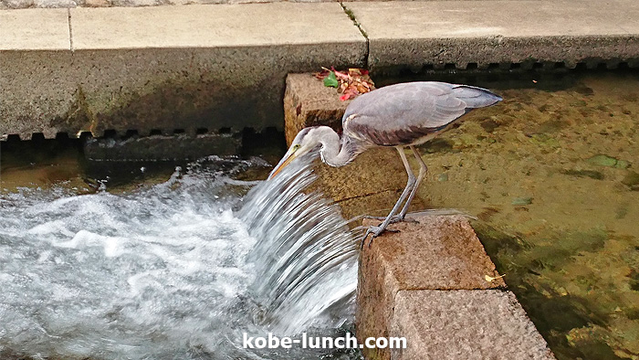 マイナーな神戸観光スポット
