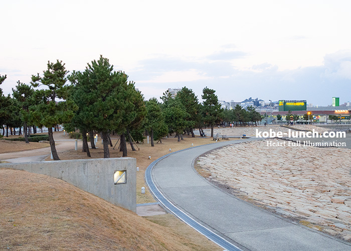 大蔵海岸スポーツデボ