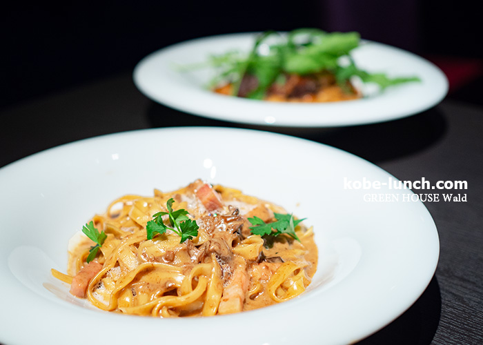 グリーンハウスヴァルト ランチ