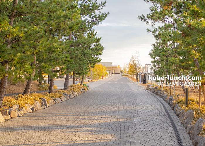 ルオーシャン神戸