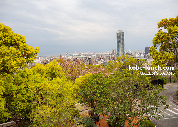 GREEN'S FARMS 北野景色