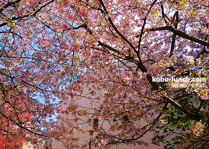 トアウエスト三四公園