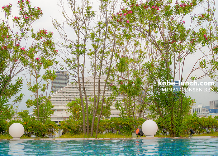 みなと温泉蓮ナイトプール