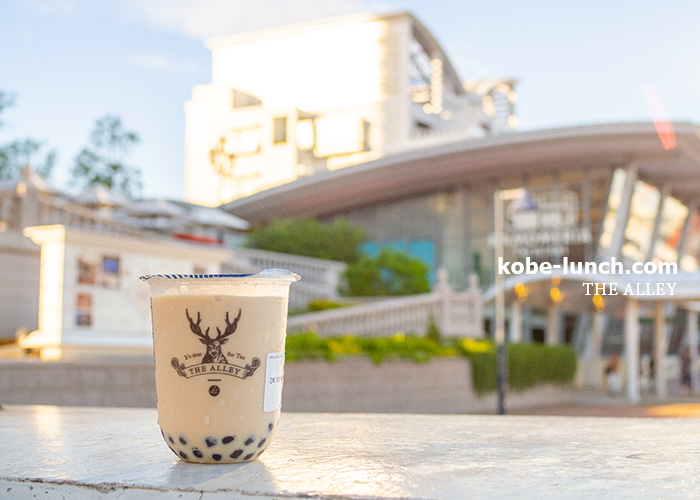 THE ALLEY ハーバーランド