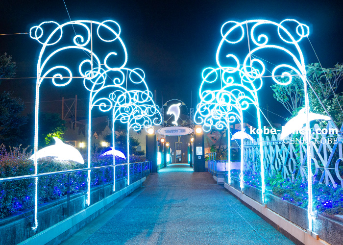 須磨水族館 Irodori Art 美しすぎる夜のスマスイ イルカショー 神戸 神戸ランチドットコム