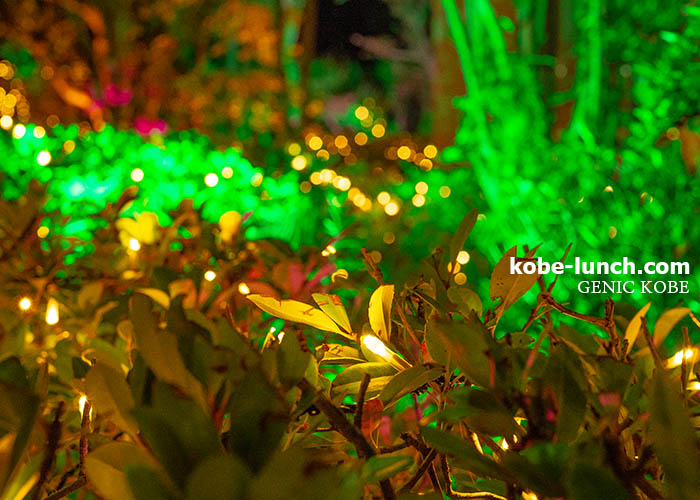 夜のスマスイ！IRODORI×ART