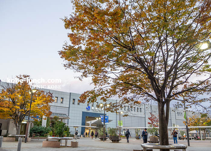 ブルプル 東急プラザ新長田店