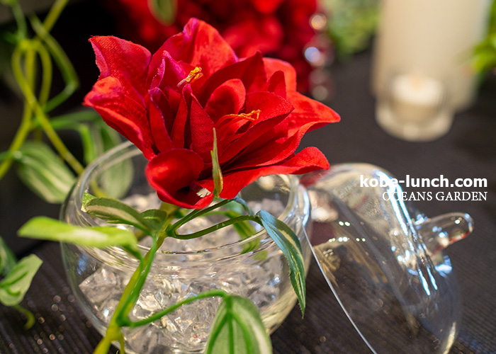 オーシャンズガーデン