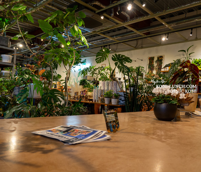 Green Cafe「グラウンズ」