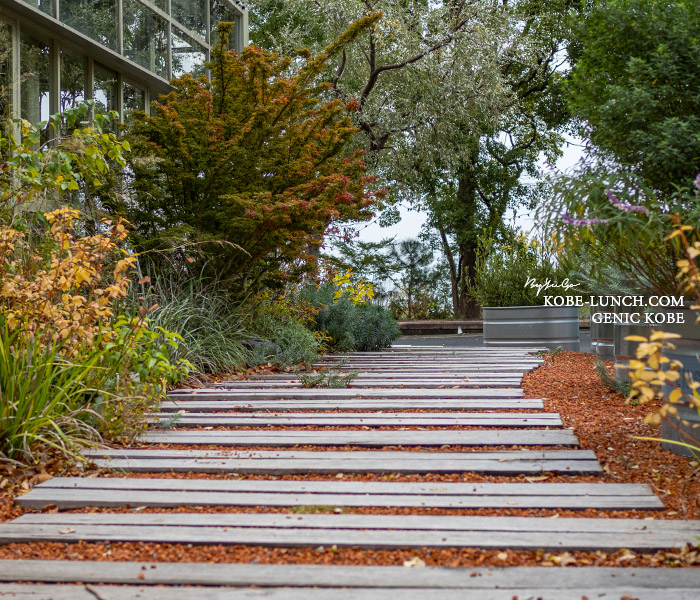 ミノリヒル北野