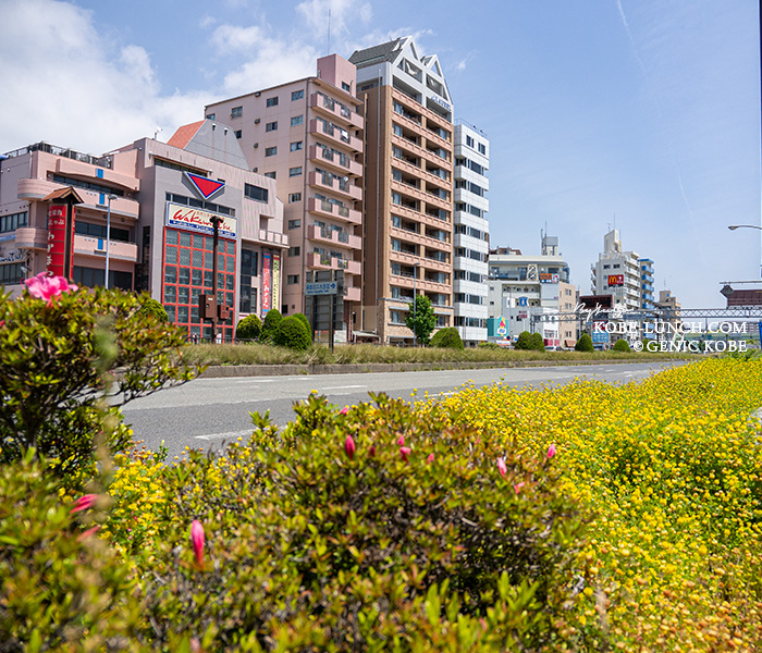 BLUESEALアイスクリーム神戸須磨海浜公園店
