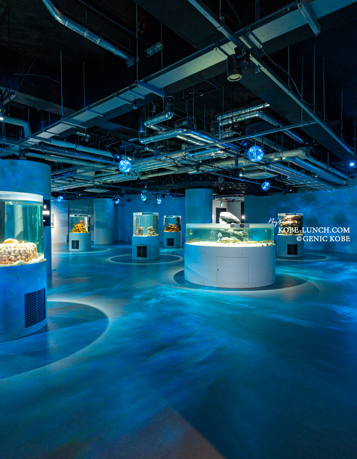 生命のゆらぎ atoa