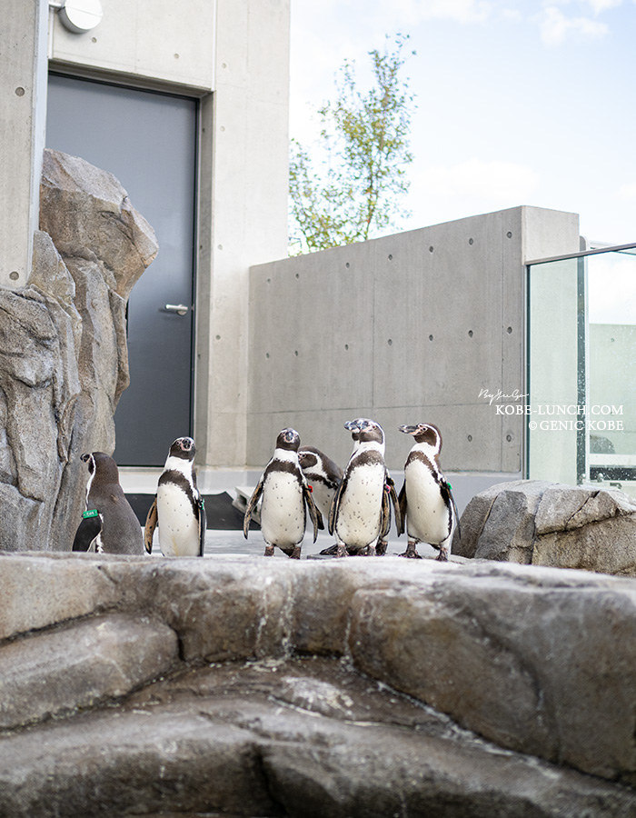 神戸ポートミュージアム・アトア