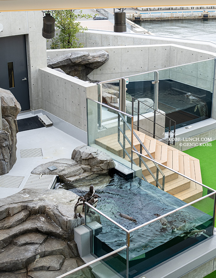 神戸ポートミュージアム