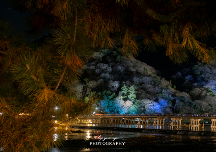 花灯路の渡月橋ライトアップ