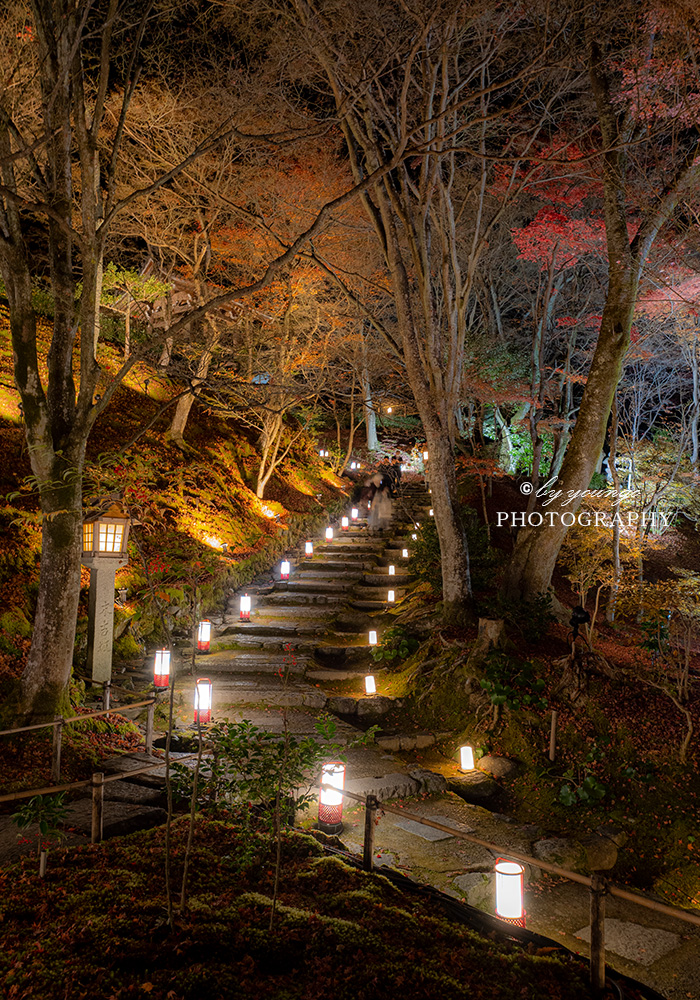 花灯路の常寂光寺ライトアップ