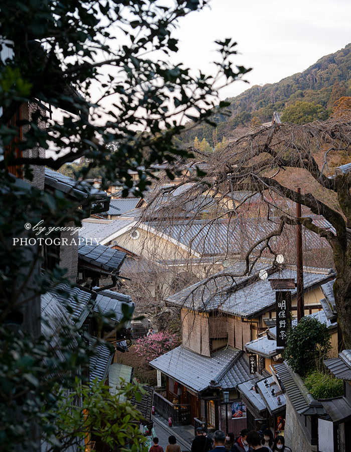 京都東山花灯路