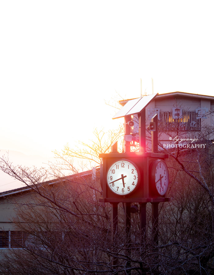 京都東山花灯路2022