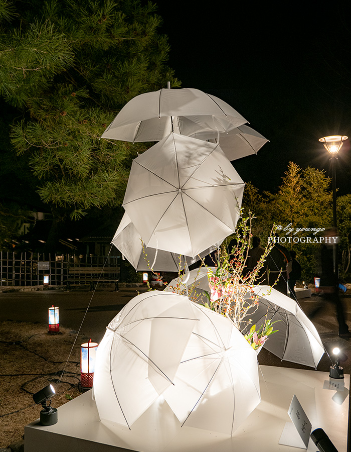 京都東山花灯路2022