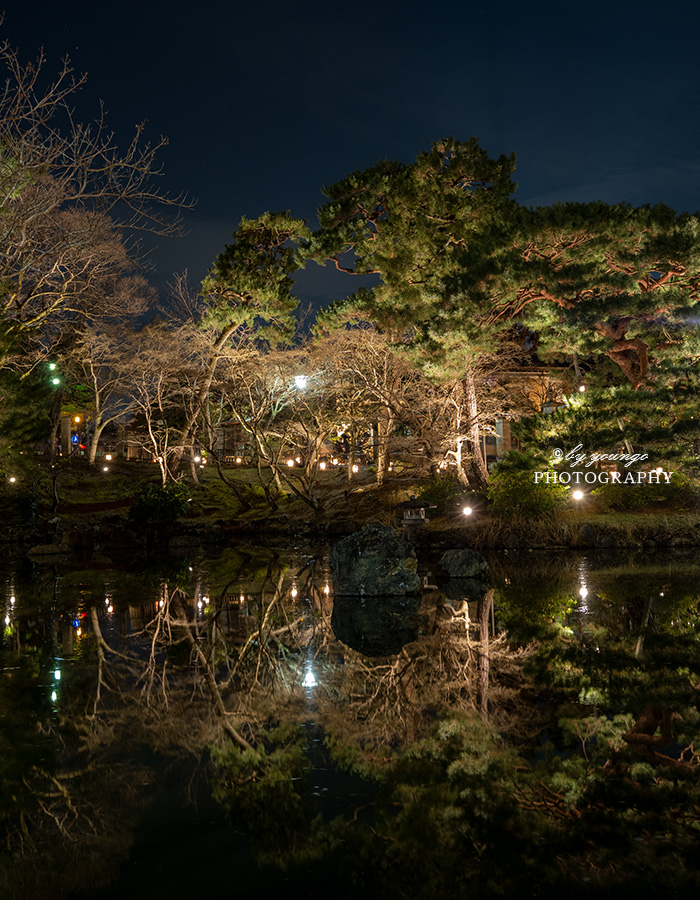 京都東山花灯路2022 円山公園