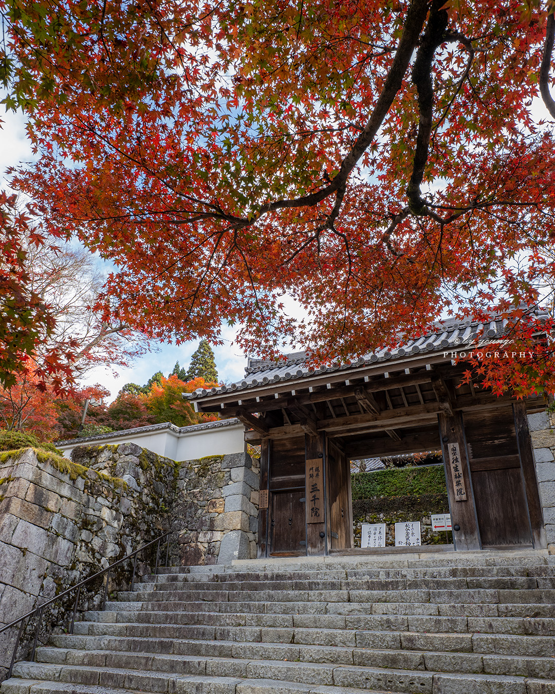 三千院 御殿門（ごてんもん）