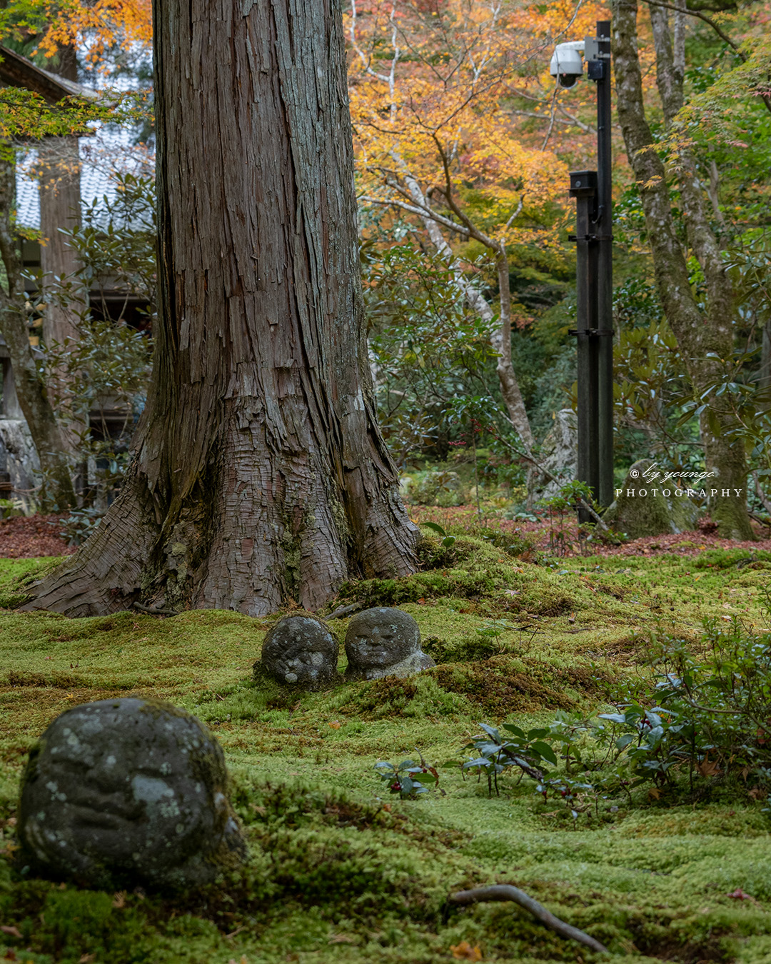 三千院 わらべ地蔵