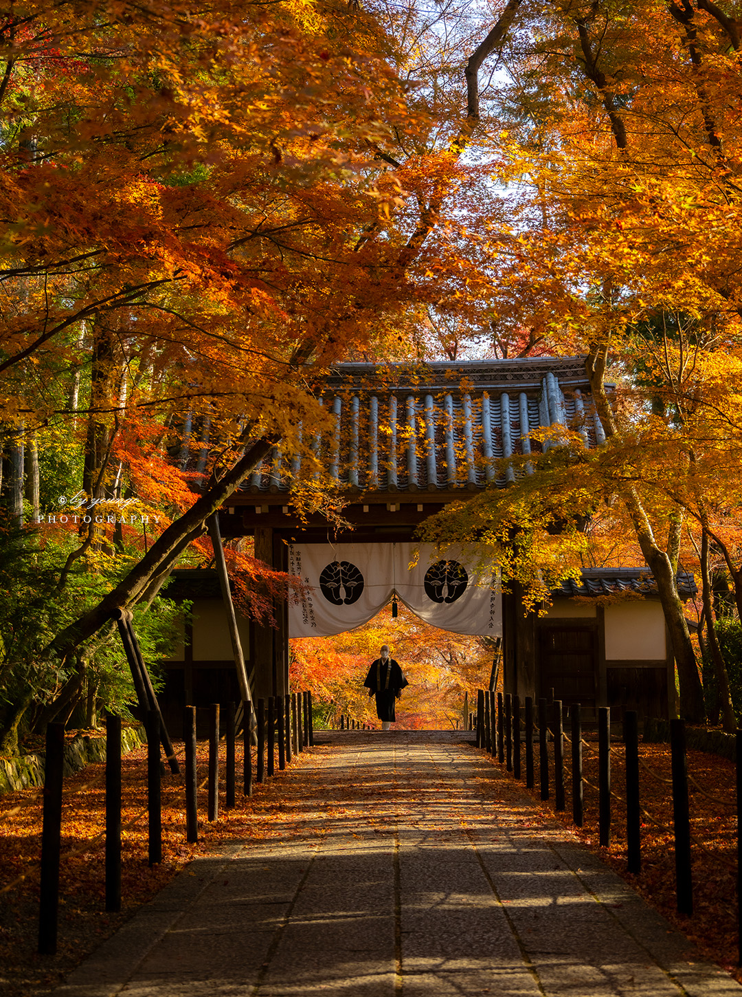 京都光明寺の紅葉