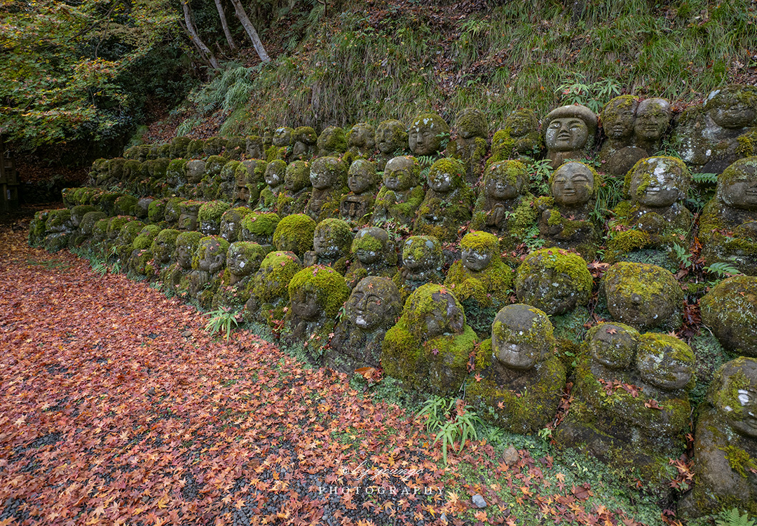 愛宕念仏寺 嵐山