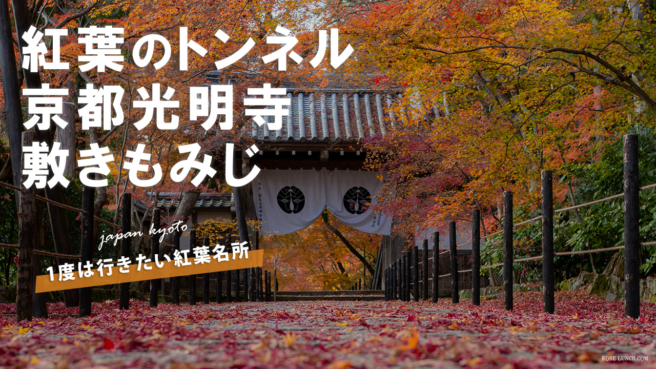 京都光明寺の紅葉トンネルを見てきて大満足！