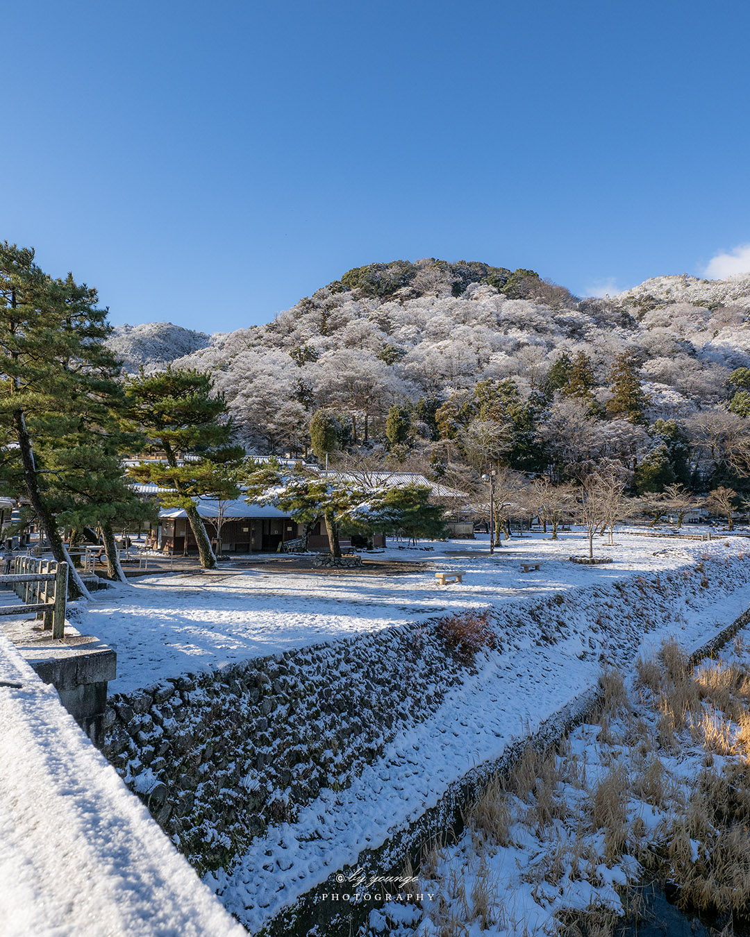 嵐山 雪積もる