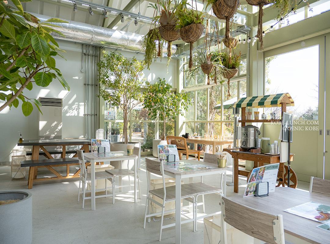 ソラカフェ インテリア