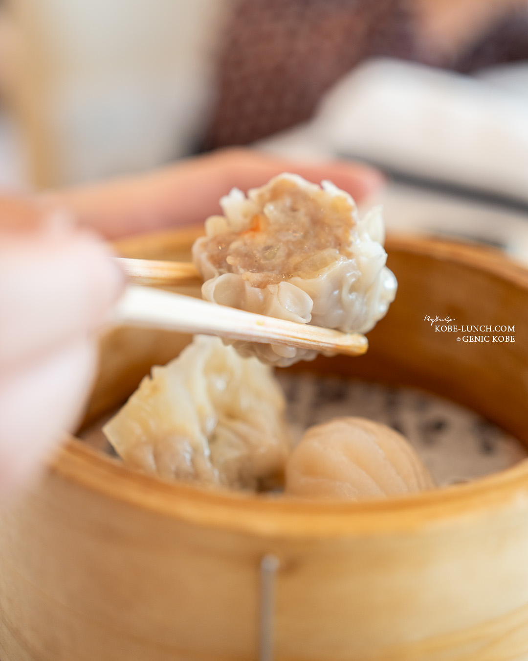ひょうごテロワール食の旅 チャリティーランチ＆ディナー